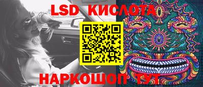 шишки Можга