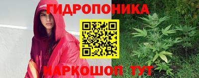шишки Можга