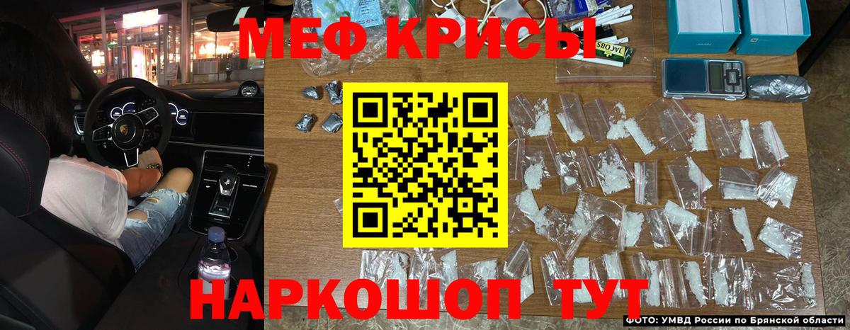 Меф мяу мяу  Чайковский