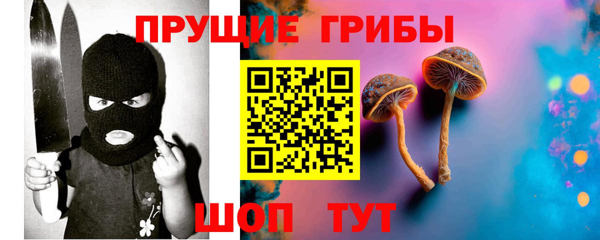 Псилоцибиновые грибы GOLDEN TEACHER Чайковский