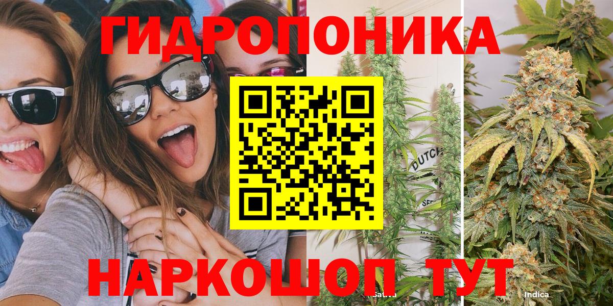 Шишки марихуана сатива Чайковский